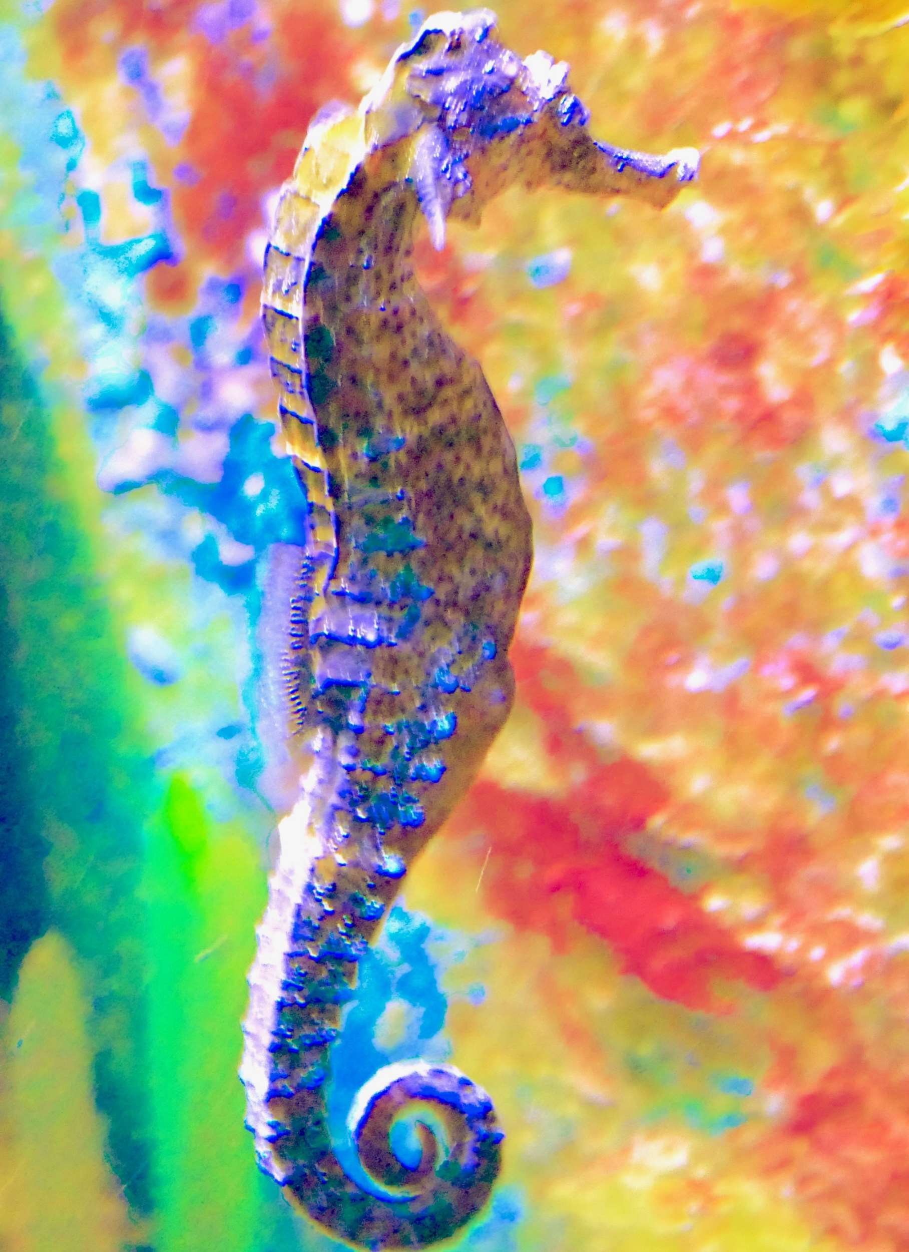P1340229